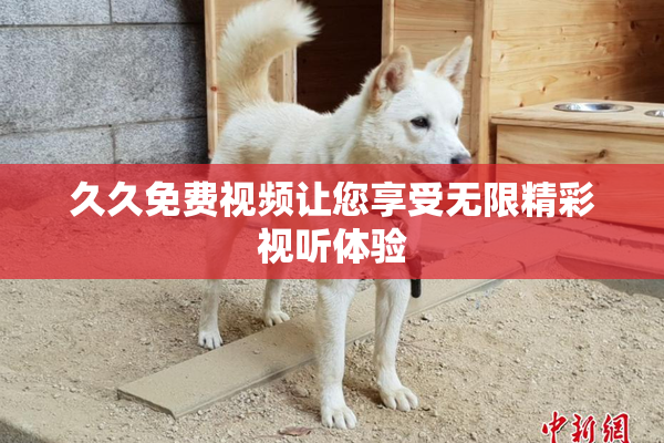 久久免费视频让您享受无限精彩视听体验
