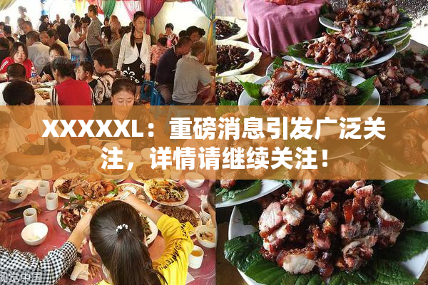 XXXXXL：重磅消息引发广泛关注，详情请继续关注！