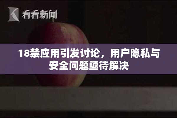 18禁应用引发讨论，用户隐私与安全问题亟待解决