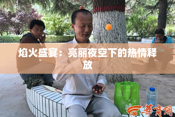 焰火盛宴：亮丽夜空下的热情释放