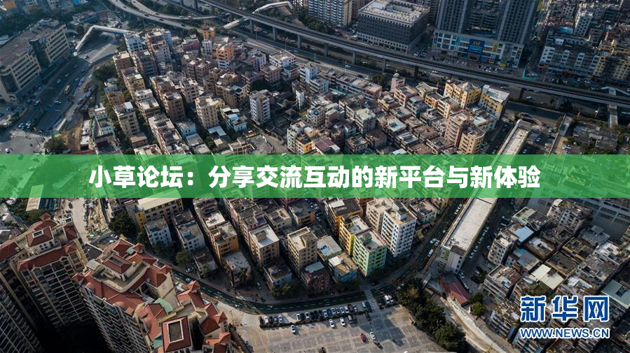 小草论坛：分享交流互动的新平台与新体验