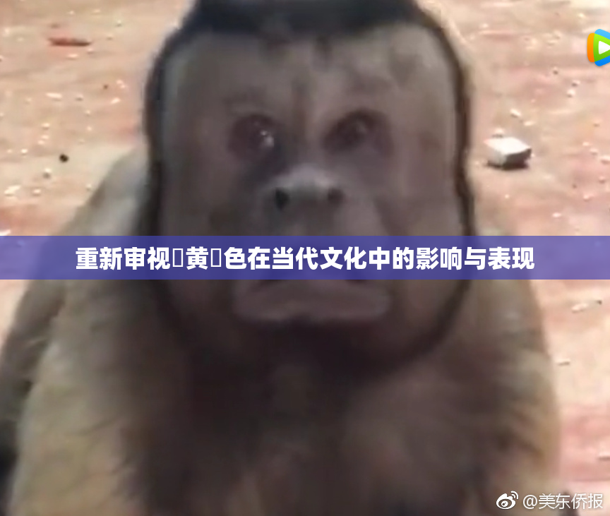 重新审视✿黄✿色在当代文化中的影响与表现