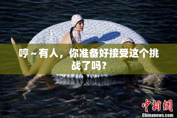 哼～有人，你准备好接受这个挑战了吗？