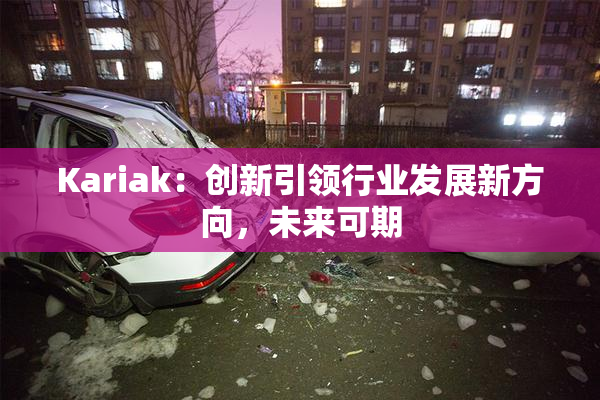 Kariak：创新引领行业发展新方向，未来可期