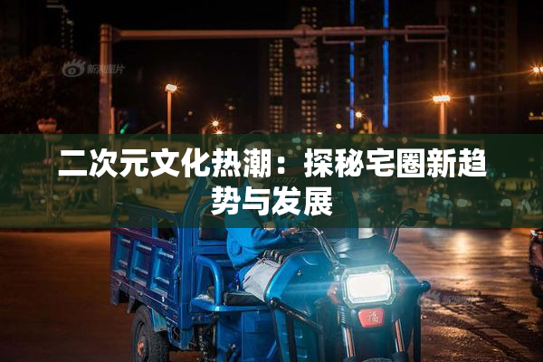 二次元文化热潮：探秘宅圈新趋势与发展