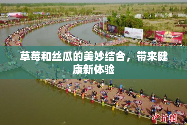 草莓和丝瓜的美妙结合，带来健康新体验