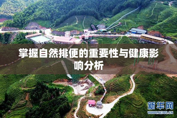 掌握自然排便的重要性与健康影响分析