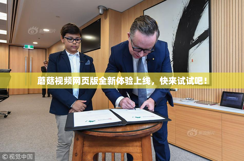 蘑菇视频网页版全新体验上线，快来试试吧！
