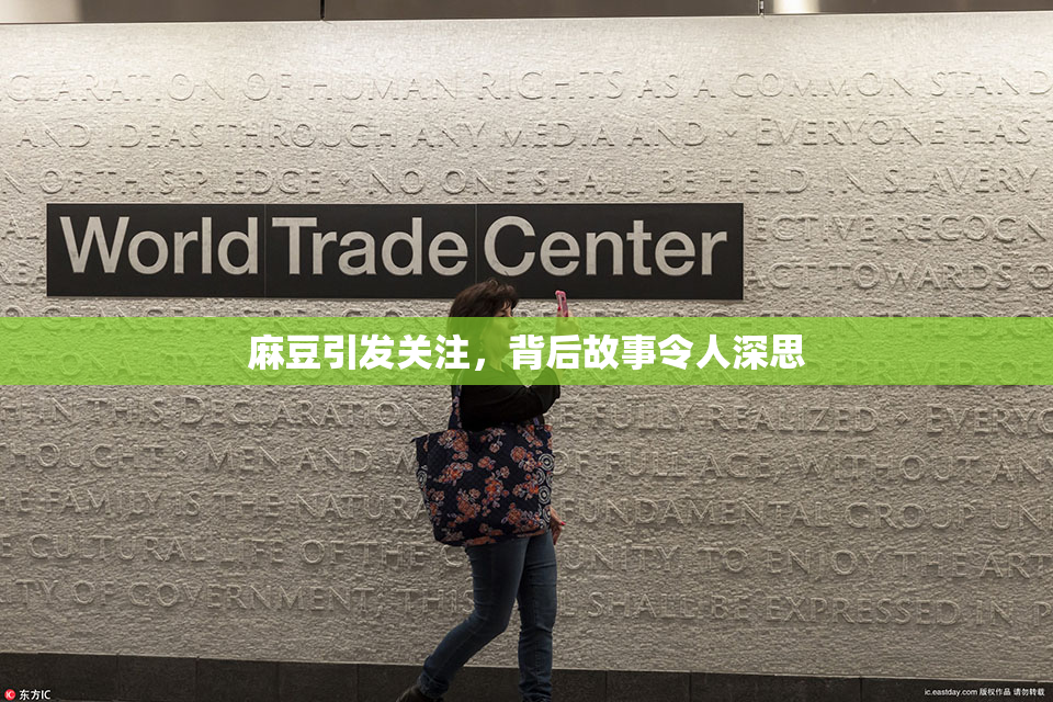 麻豆引发关注，背后故事令人深思