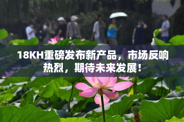 18KH重磅发布新产品，市场反响热烈，期待未来发展！