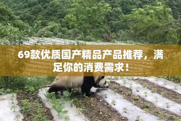 69款优质国产精品产品推荐，满足你的消费需求！