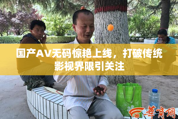 国产AV无码惊艳上线，打破传统影视界限引关注