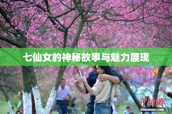七仙女的神秘故事与魅力展现