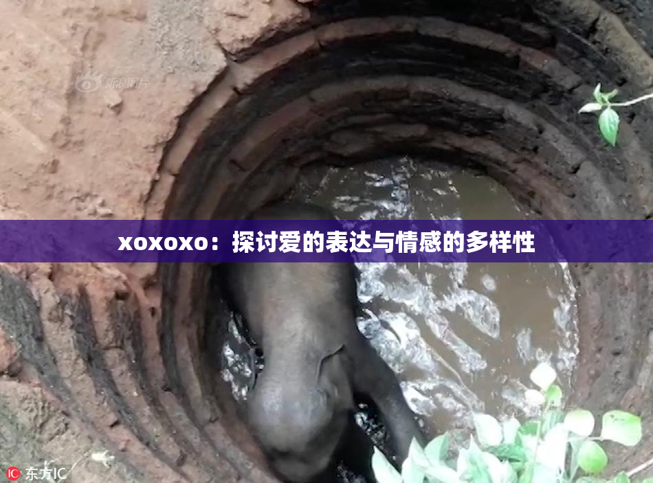 xoxoxo：探讨爱的表达与情感的多样性
