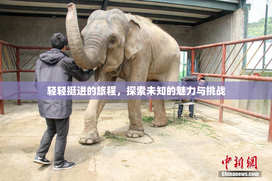 轻轻挺进的旅程，探索未知的魅力与挑战