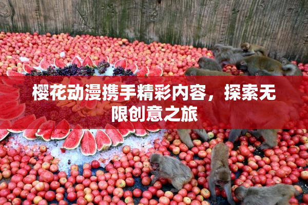 樱花动漫携手精彩内容，探索无限创意之旅