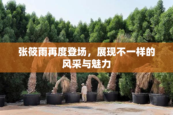 张筱雨再度登场，展现不一样的风采与魅力