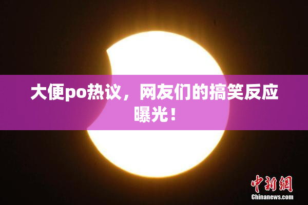 大便po热议，网友们的搞笑反应曝光！