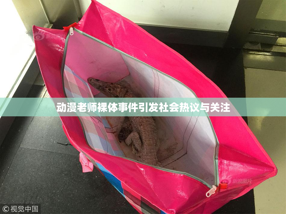 动漫老师裸体事件引发社会热议与关注