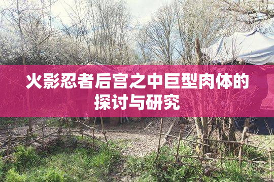 火影忍者后宫之中巨型肉体的探讨与研究