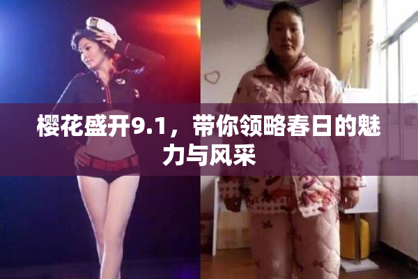 樱花盛开9.1，带你领略春日的魅力与风采