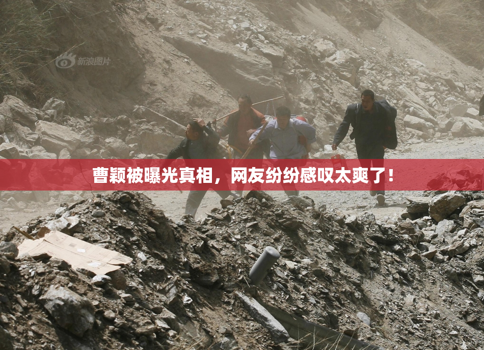 曹颖被曝光真相，网友纷纷感叹太爽了！