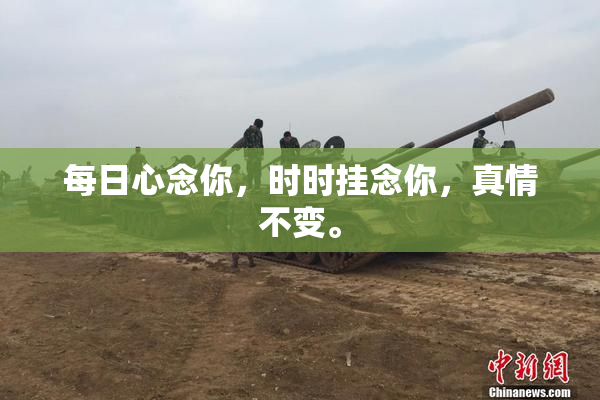 每日心念你，时时挂念你，真情不变。