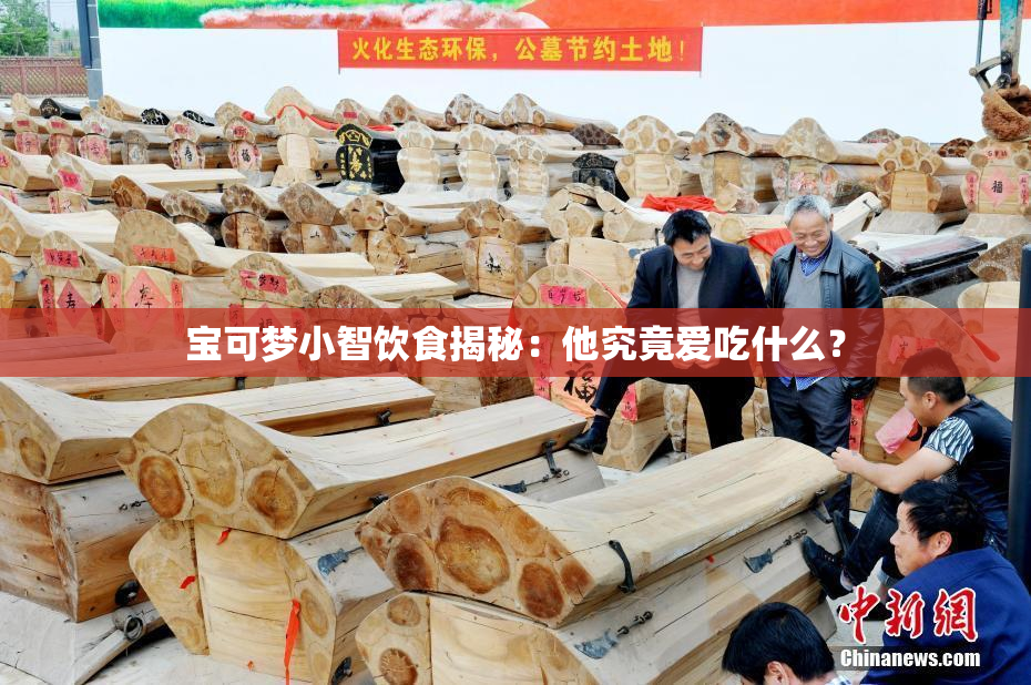 宝可梦小智饮食揭秘：他究竟爱吃什么？