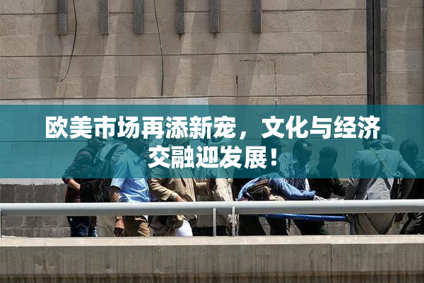 欧美市场再添新宠，文化与经济交融迎发展！