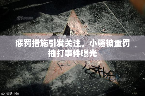 惩罚措施引发关注，小骚被重罚抽打事件曝光