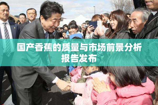 国产香蕉的质量与市场前景分析报告发布