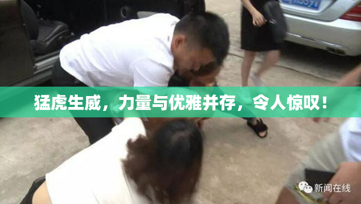 猛虎生威，力量与优雅并存，令人惊叹！