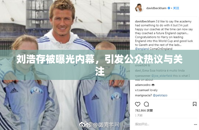 刘浩存被曝光内幕，引发公众热议与关注