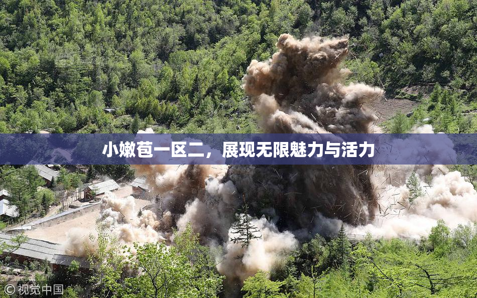 小嫩苞一区二，展现无限魅力与活力