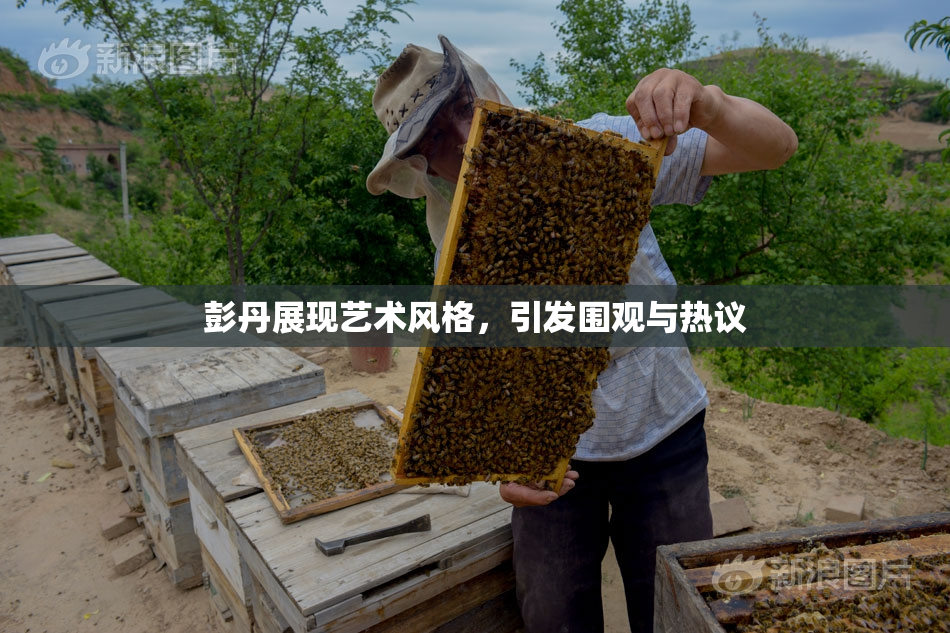 彭丹展现艺术风格，引发围观与热议