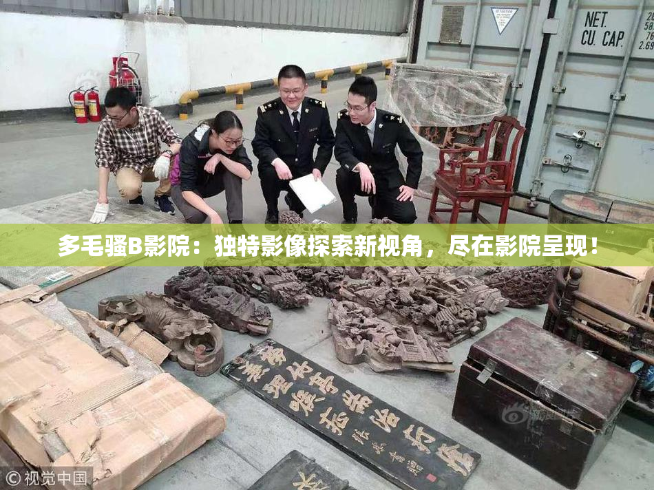 多毛骚B影院：独特影像探索新视角，尽在影院呈现！