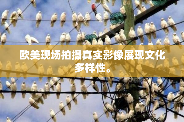 欧美现场拍摄真实影像展现文化多样性。