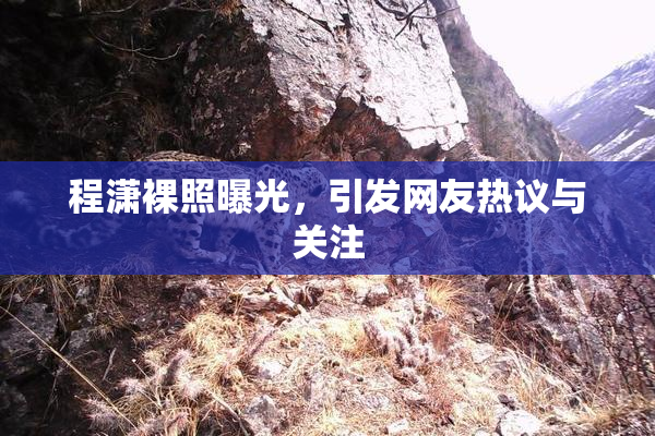 程潇裸照曝光，引发网友热议与关注