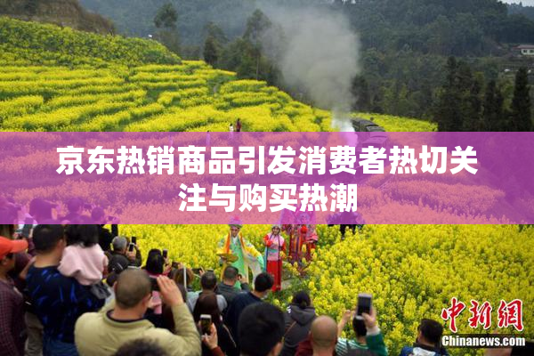 京东热销商品引发消费者热切关注与购买热潮