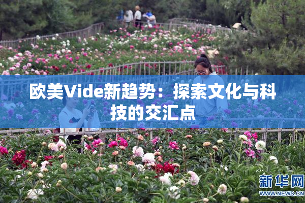 欧美Vide新趋势：探索文化与科技的交汇点