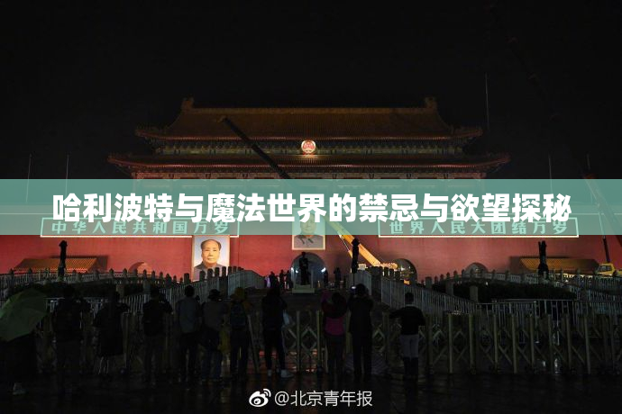 哈利波特与魔法世界的禁忌与欲望探秘