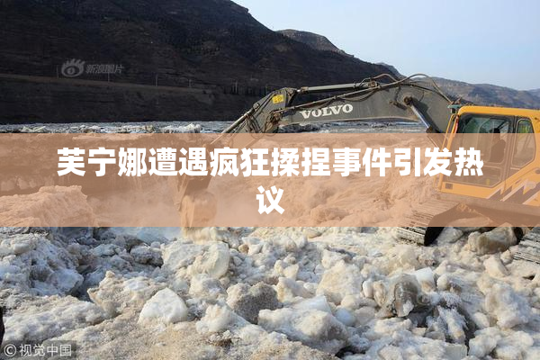 芙宁娜遭遇疯狂揉捏事件引发热议