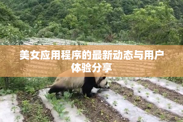 美女应用程序的最新动态与用户体验分享