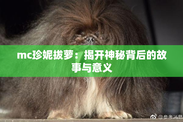 mc珍妮拔萝：揭开神秘背后的故事与意义