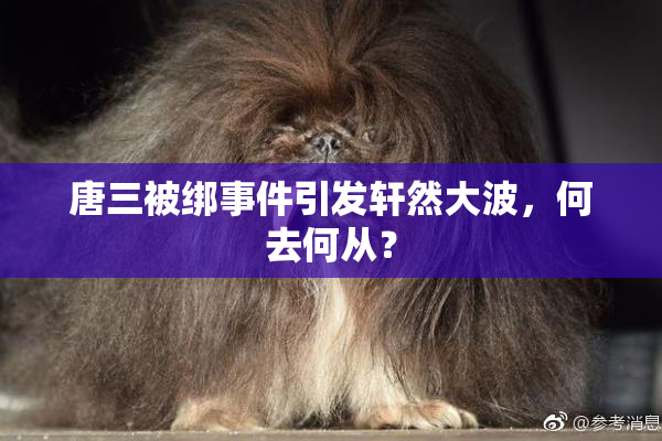 唐三被绑事件引发轩然大波，何去何从？