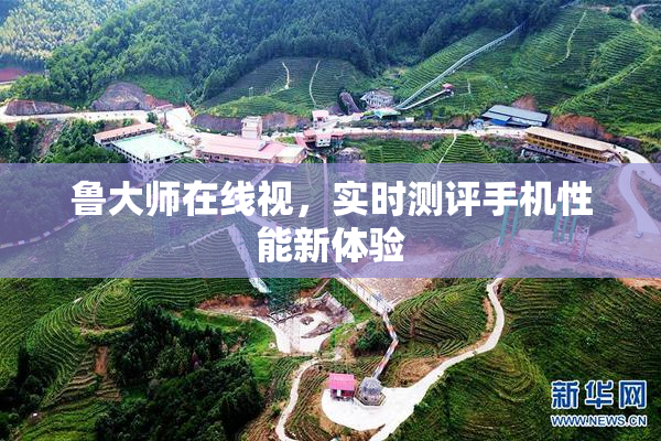 鲁大师在线视，实时测评手机性能新体验
