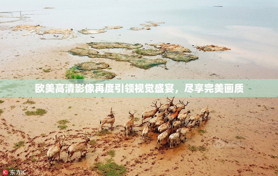 欧美高清影像再度引领视觉盛宴，尽享完美画质