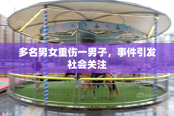 多名男女重伤一男子，事件引发社会关注