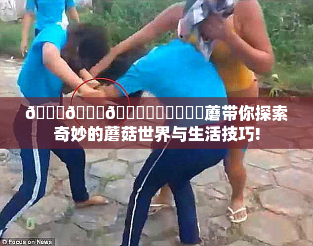 🍆🍑🔞❌‌❌‌❌‌蘑带你探索奇妙的蘑菇世界与生活技巧!