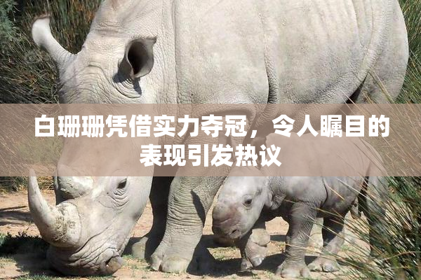白珊珊凭借实力夺冠，令人瞩目的表现引发热议